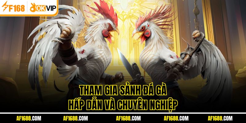 Tham gia sảnh đá gà hấp dẫn và chuyên nghiệp
